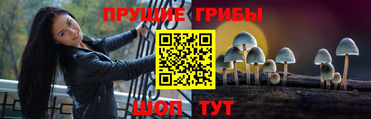 Галлюциногенные грибы Cubensis  Галлюциногенные грибы мухоморы  Воркута  Вход с VPN 